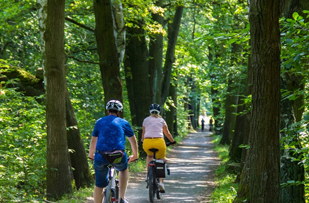 Druženje biciklista