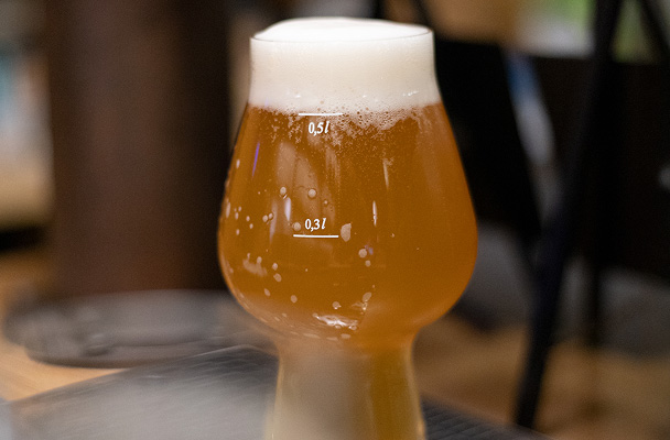Pivo